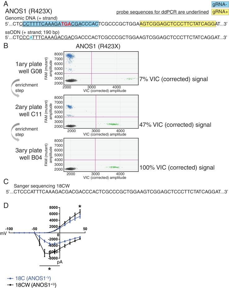 https://cdn.ncbi.nlm.nih.gov/pmc/blobs/5528/6372285/e2814bb70d2c/elife-40092-fig5.jpg