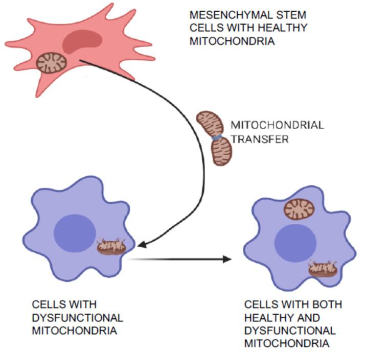 https://cdn.ncbi.nlm.nih.gov/pmc/blobs/552e/7823630/12a919528247/cells-10-00054-g003.jpg