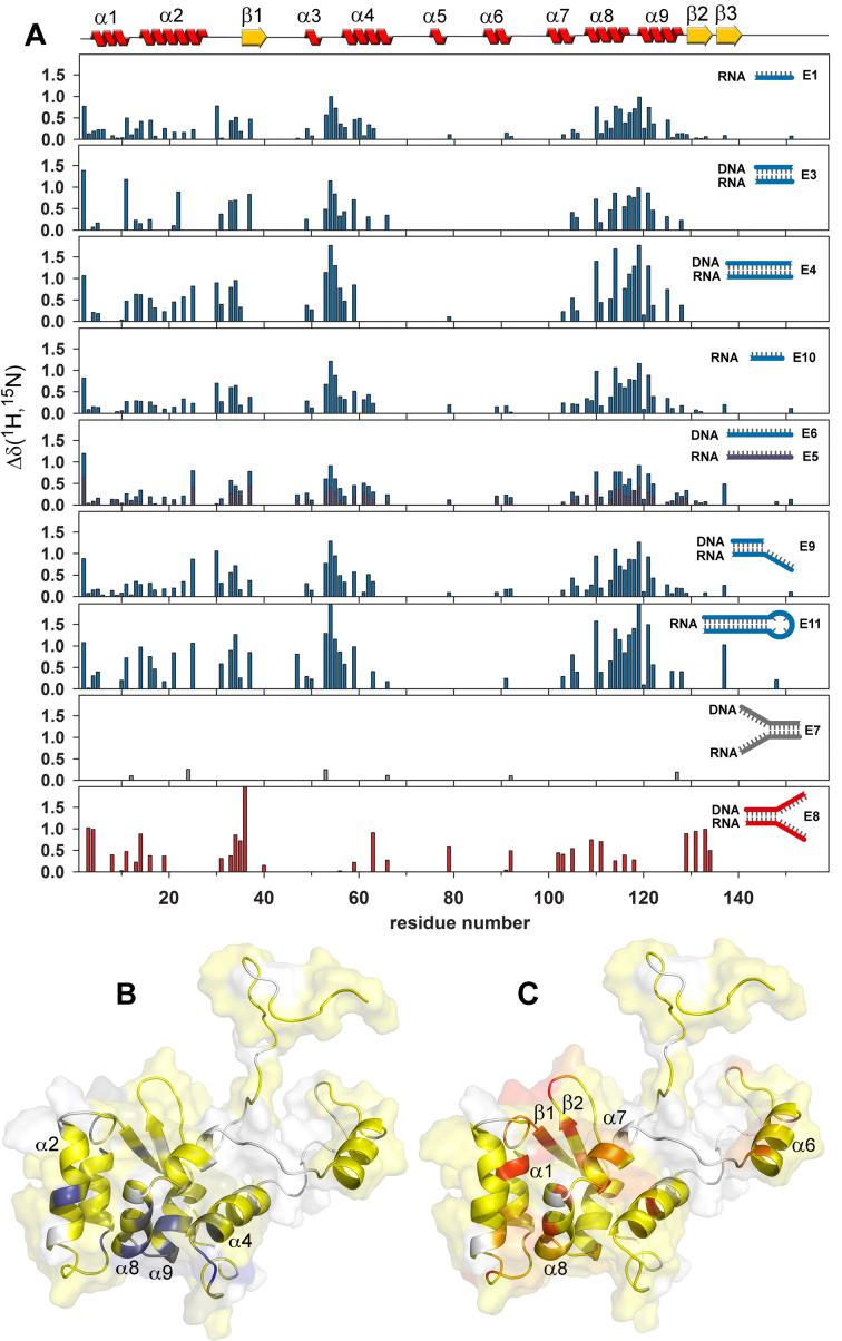 https://cdn.ncbi.nlm.nih.gov/pmc/blobs/5566/5814841/3f87b921b9dd/gkx1275fig5.jpg