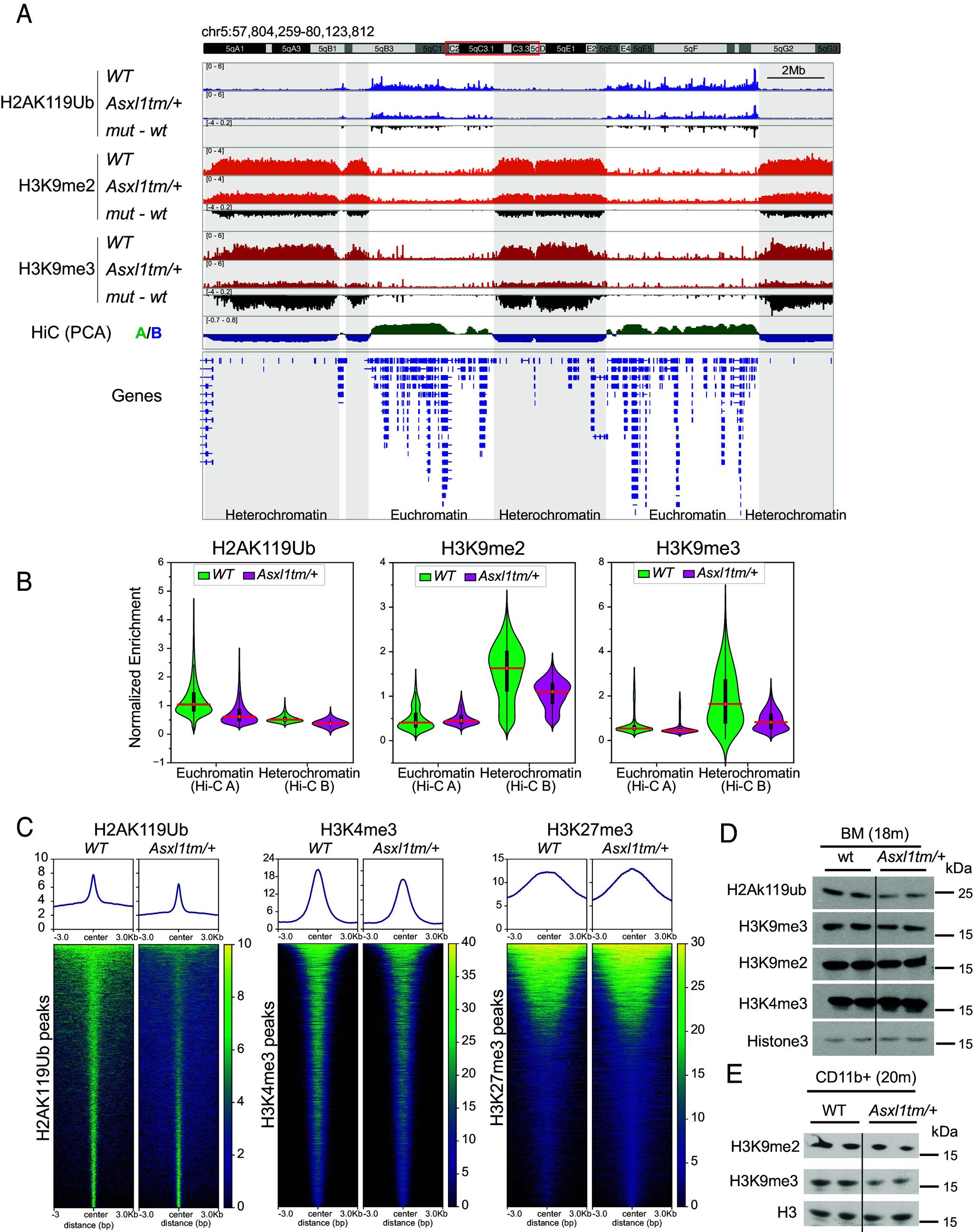 https://cdn.ncbi.nlm.nih.gov/pmc/blobs/5571/11725933/8710702114a7/pnas.2413302121fig03.jpg