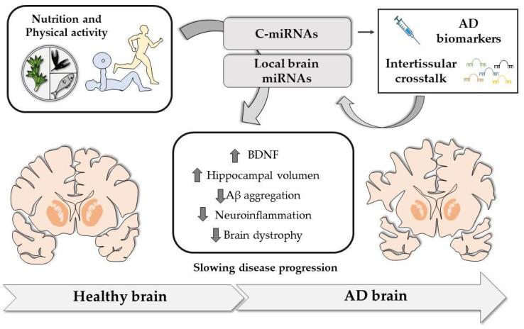 https://cdn.ncbi.nlm.nih.gov/pmc/blobs/5586/10490103/d01c371b8fc5/nutrients-15-03688-g002.jpg