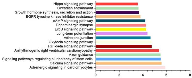 https://cdn.ncbi.nlm.nih.gov/pmc/blobs/5586/10490103/ee21657a08be/nutrients-15-03688-g004.jpg