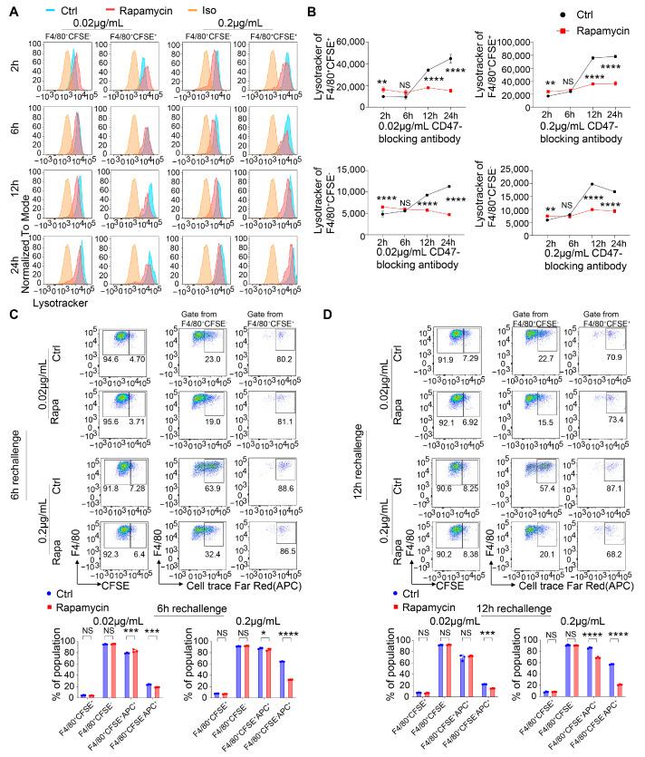 https://cdn.ncbi.nlm.nih.gov/pmc/blobs/55a0/11674635/c946a2876aac/cancers-16-04238-g005.jpg