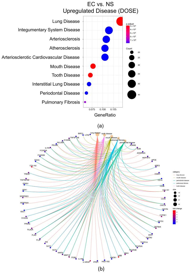 https://cdn.ncbi.nlm.nih.gov/pmc/blobs/55a0/9321508/13c0aa208179/toxics-10-00370-g007.jpg