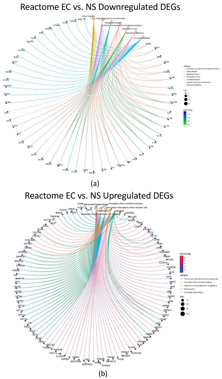 https://cdn.ncbi.nlm.nih.gov/pmc/blobs/55a0/9321508/b79e873a9fe6/toxics-10-00370-g003.jpg