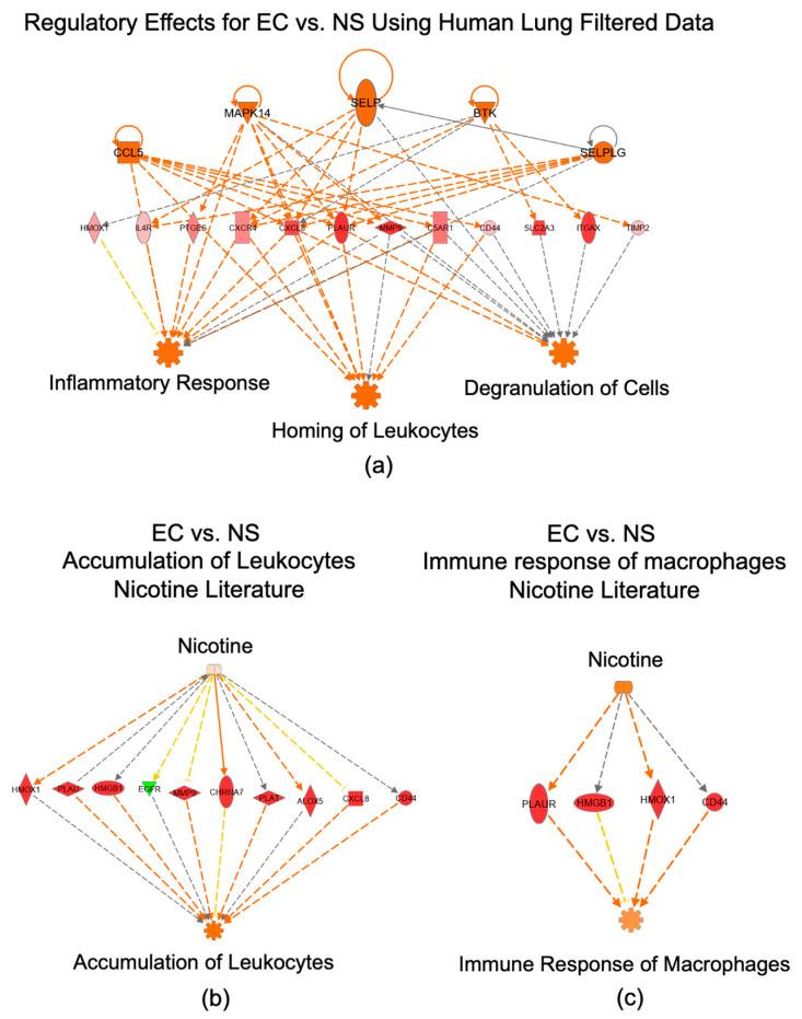 https://cdn.ncbi.nlm.nih.gov/pmc/blobs/55a0/9321508/baf5e434fff0/toxics-10-00370-g006.jpg