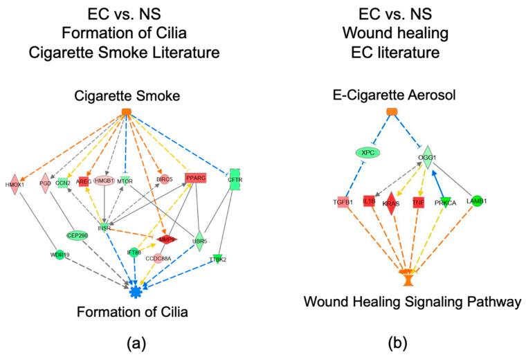 https://cdn.ncbi.nlm.nih.gov/pmc/blobs/55a0/9321508/bd0e47911aac/toxics-10-00370-g005.jpg