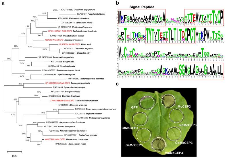 https://cdn.ncbi.nlm.nih.gov/pmc/blobs/55aa/12158172/4846a743ba43/plants-14-01638-g004.jpg