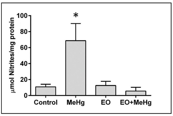 https://cdn.ncbi.nlm.nih.gov/pmc/blobs/55c2/6893510/782c656fa1b6/nutrients-11-02585-g006.jpg