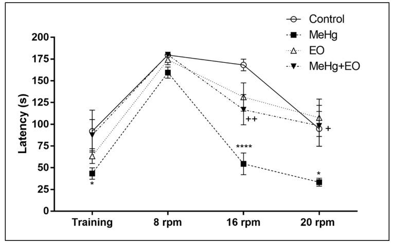 https://cdn.ncbi.nlm.nih.gov/pmc/blobs/55c2/6893510/a592cc70d089/nutrients-11-02585-g004.jpg