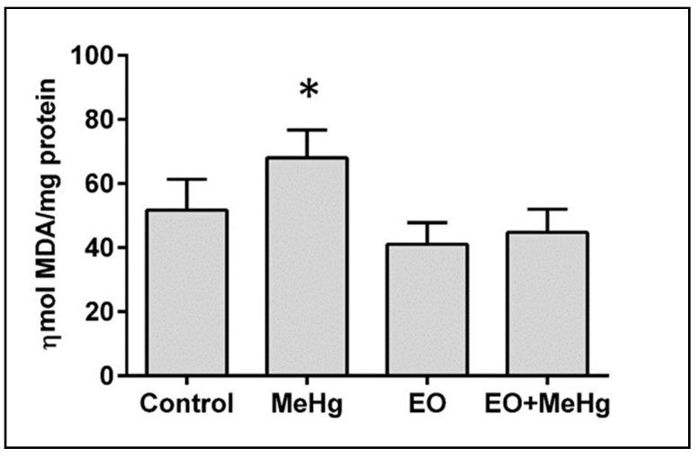 https://cdn.ncbi.nlm.nih.gov/pmc/blobs/55c2/6893510/d7a8eb4c8389/nutrients-11-02585-g005.jpg