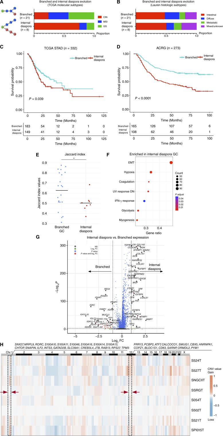 https://cdn.ncbi.nlm.nih.gov/pmc/blobs/563c/11962405/159e2c28239b/cd-24-0605fig4.jpg
