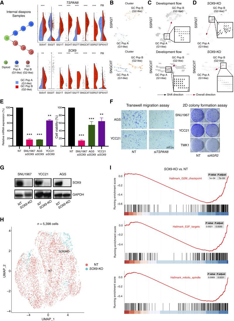 https://cdn.ncbi.nlm.nih.gov/pmc/blobs/563c/11962405/5ac492488081/cd-24-0605fig6.jpg