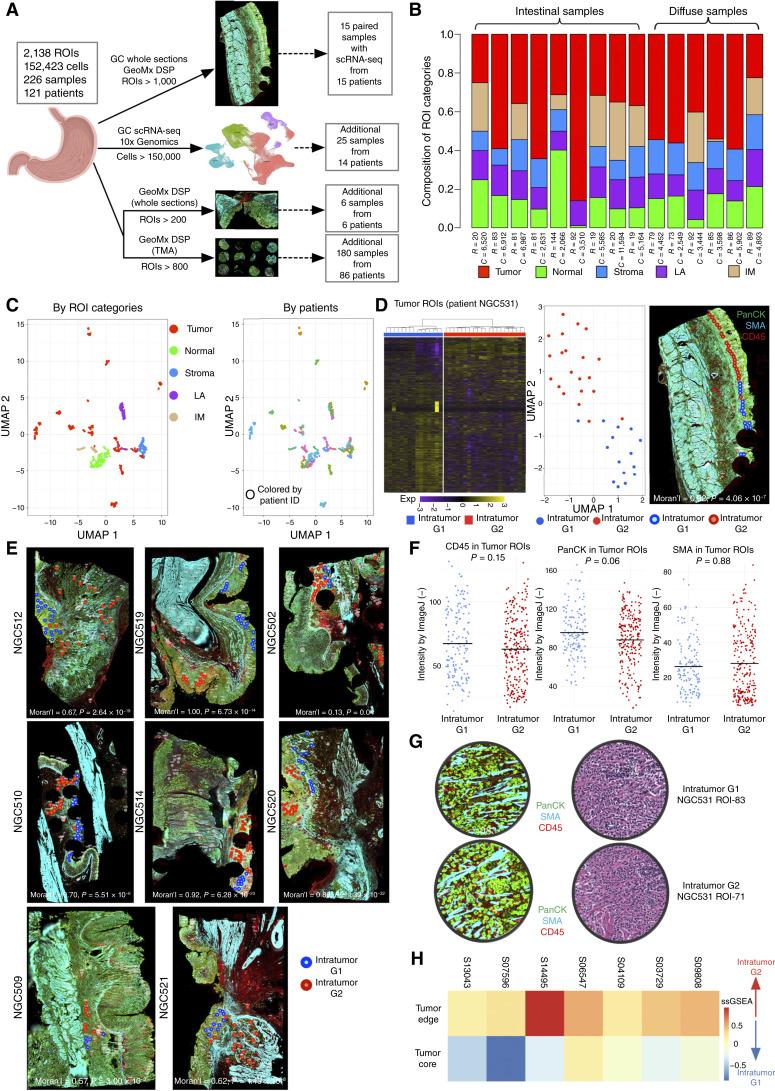 https://cdn.ncbi.nlm.nih.gov/pmc/blobs/563c/11962405/62ce0e16c272/cd-24-0605fig1.jpg