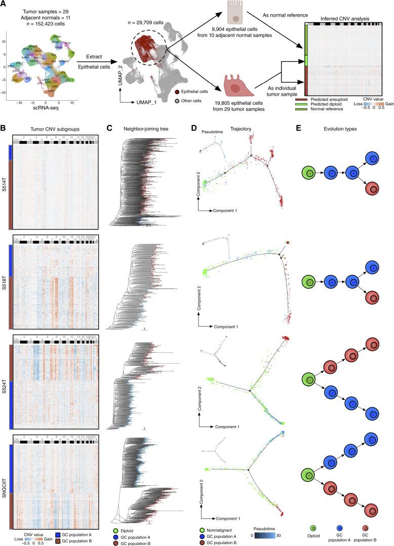 https://cdn.ncbi.nlm.nih.gov/pmc/blobs/563c/11962405/b6e990f28dd2/cd-24-0605fig3.jpg