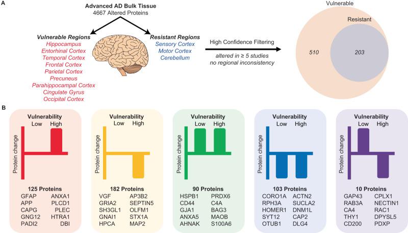 https://cdn.ncbi.nlm.nih.gov/pmc/blobs/563d/10368642/fd6063e83b36/41467_2023_40208_Fig6_HTML.jpg