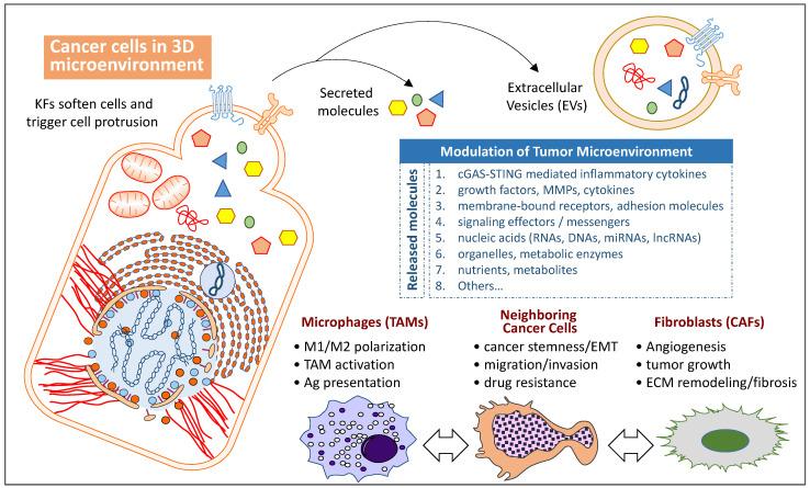 https://cdn.ncbi.nlm.nih.gov/pmc/blobs/5642/9775460/471b22cad6ed/biomolecules-12-01862-g003.jpg