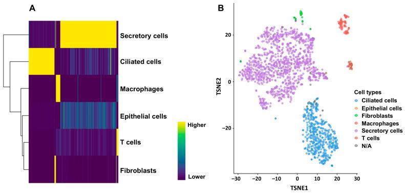 https://cdn.ncbi.nlm.nih.gov/pmc/blobs/564d/12347332/0dead261651f/ijms-26-07512-g001.jpg