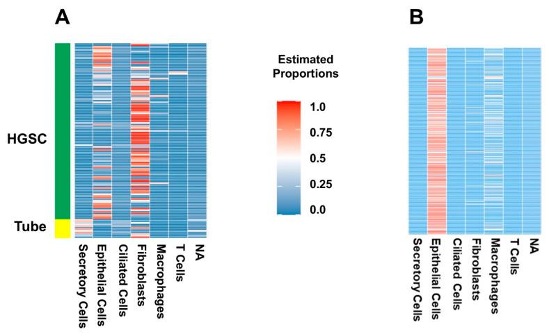 https://cdn.ncbi.nlm.nih.gov/pmc/blobs/564d/12347332/57de9b48c6ec/ijms-26-07512-g004.jpg