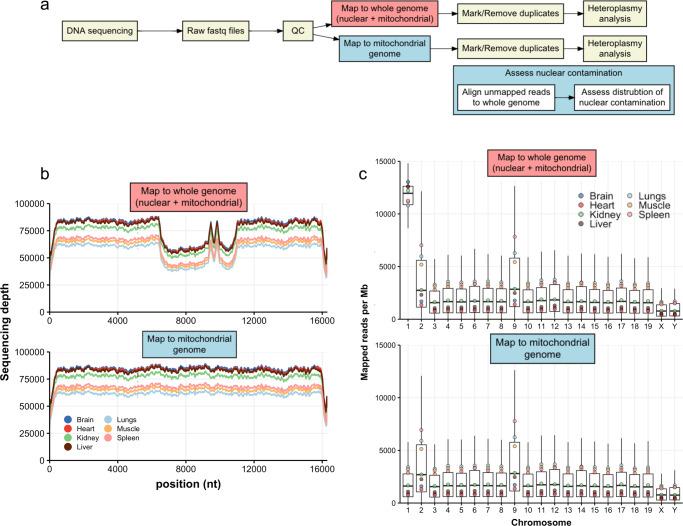 https://cdn.ncbi.nlm.nih.gov/pmc/blobs/564d/9675811/83c8ff112b83/42003_2022_4182_Fig2_HTML.jpg
