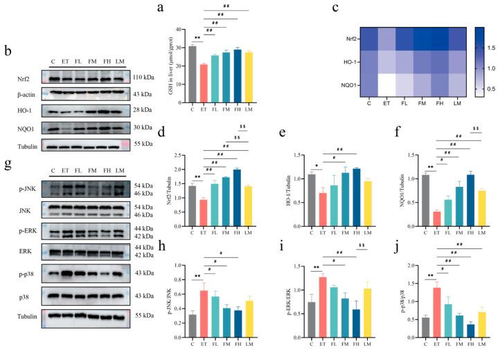 https://cdn.ncbi.nlm.nih.gov/pmc/blobs/5650/11990129/e6ec92c4a1be/nutrients-17-01255-g006.jpg