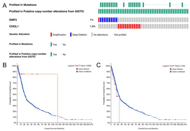 https://cdn.ncbi.nlm.nih.gov/pmc/blobs/5656/10605675/d3793de05d05/curroncol-30-00629-g005.jpg