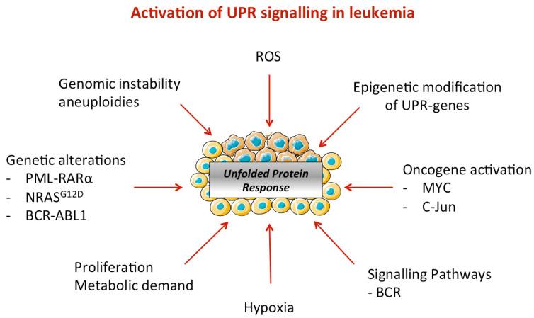 https://cdn.ncbi.nlm.nih.gov/pmc/blobs/5661/7911881/2747bf06007e/biomolecules-11-00199-g003.jpg