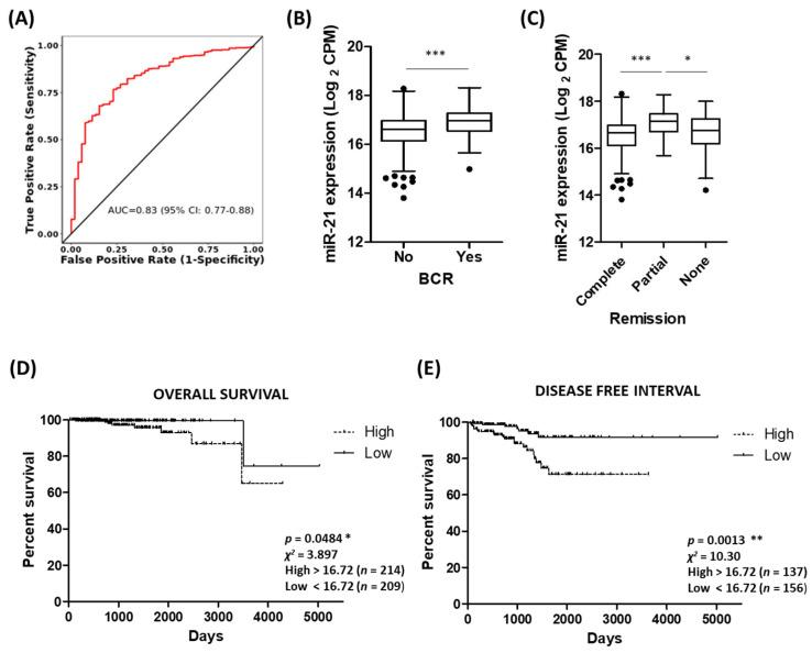 https://cdn.ncbi.nlm.nih.gov/pmc/blobs/5671/9954526/13c9cdcc99e6/cancers-15-01291-g005.jpg