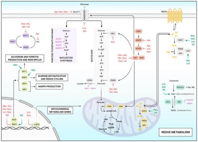 https://cdn.ncbi.nlm.nih.gov/pmc/blobs/5677/8038160/bfcb8c153b56/molecules-26-02029-g003.jpg