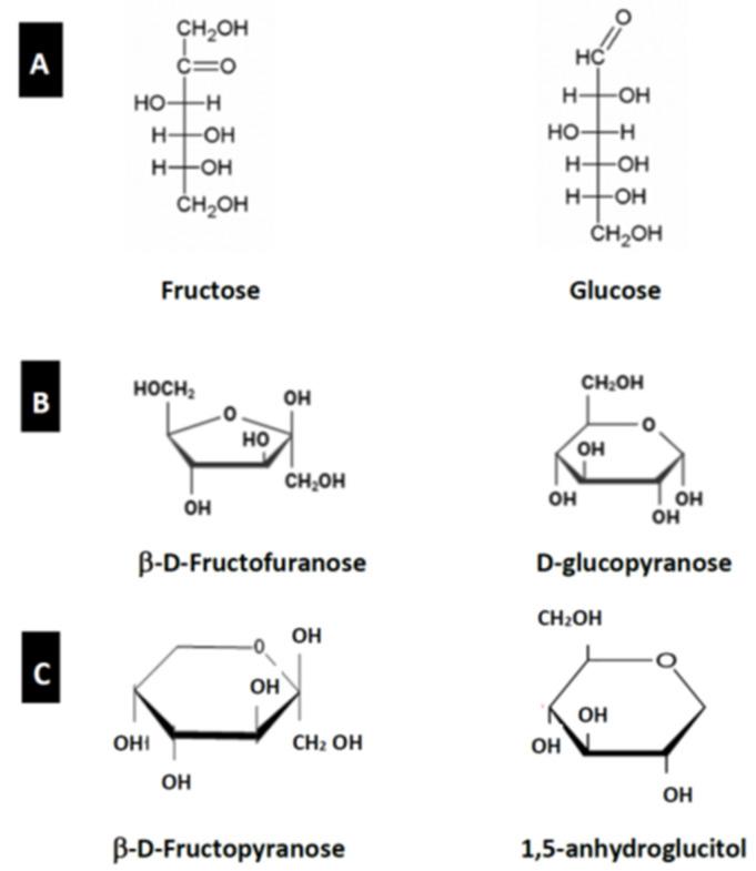 https://cdn.ncbi.nlm.nih.gov/pmc/blobs/568b/12348421/2d3ea7bbd0c9/nutrients-17-02511-g002.jpg