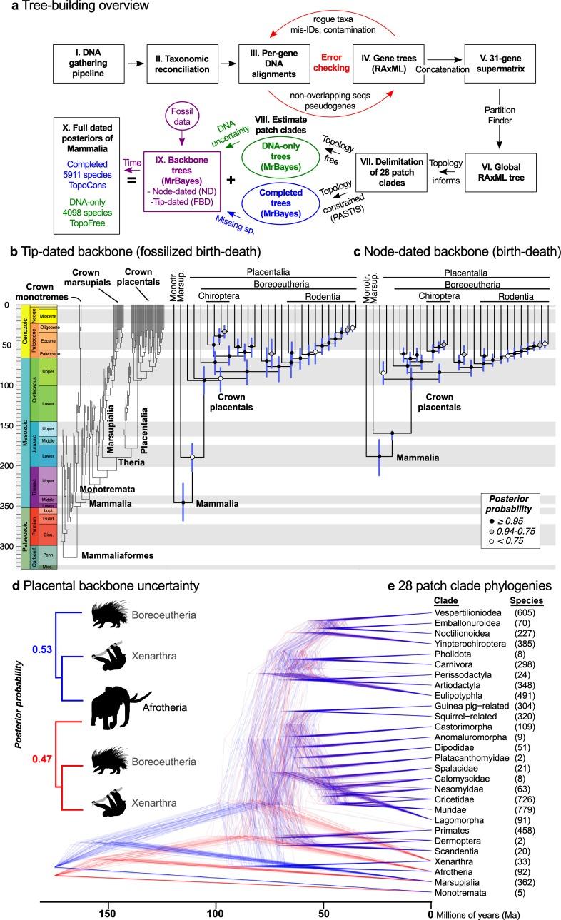 https://cdn.ncbi.nlm.nih.gov/pmc/blobs/5691/6892540/8afdaa613885/pbio.3000494.g002.jpg