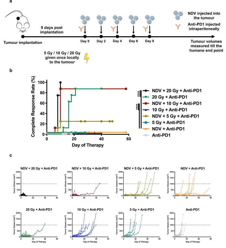 https://cdn.ncbi.nlm.nih.gov/pmc/blobs/5692/6945240/080769f0b5b8/gr3.jpg