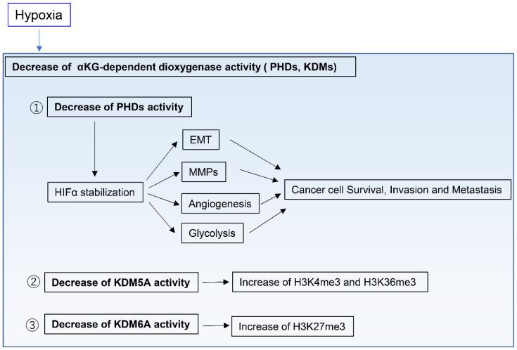 https://cdn.ncbi.nlm.nih.gov/pmc/blobs/56a4/7824065/5f4475014ecf/metabolites-11-00028-g003.jpg