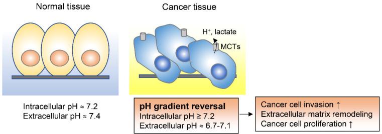 https://cdn.ncbi.nlm.nih.gov/pmc/blobs/56a4/7824065/8d98358fc083/metabolites-11-00028-g004.jpg