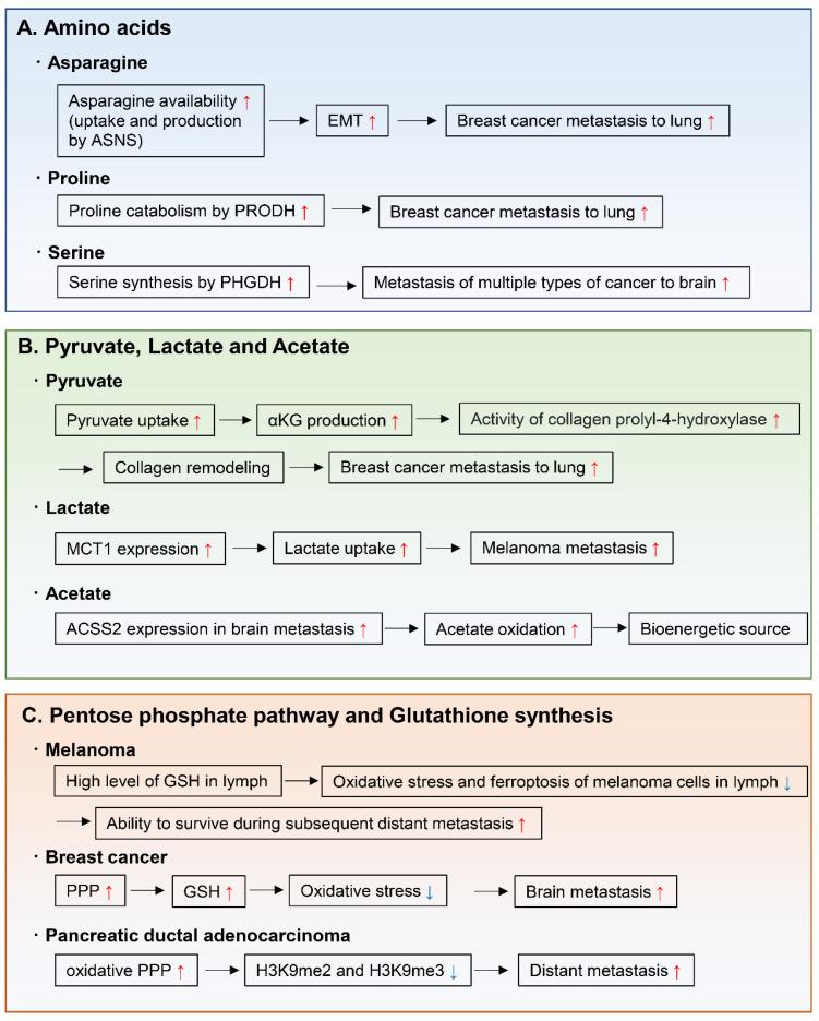 https://cdn.ncbi.nlm.nih.gov/pmc/blobs/56a4/7824065/db7b2ffbf4d5/metabolites-11-00028-g006.jpg