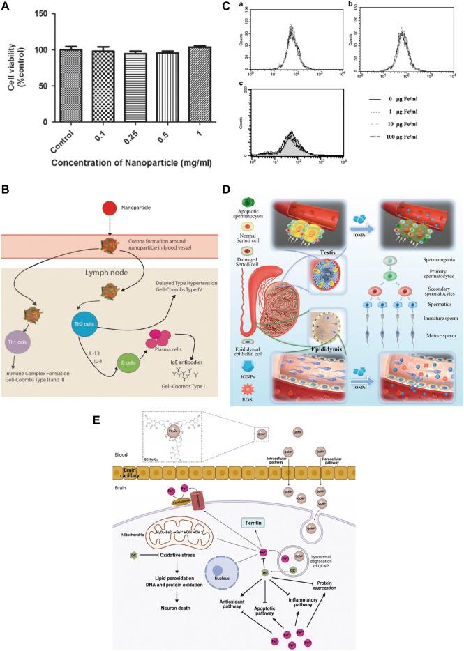 https://cdn.ncbi.nlm.nih.gov/pmc/blobs/56b1/9452849/669ebff242f1/fbioe-10-937803-g006.jpg
