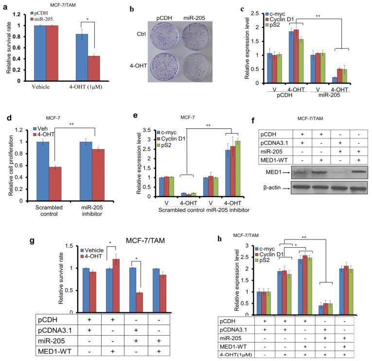 https://cdn.ncbi.nlm.nih.gov/pmc/blobs/56c6/11640040/50eb88a31439/cancers-16-03992-g003.jpg