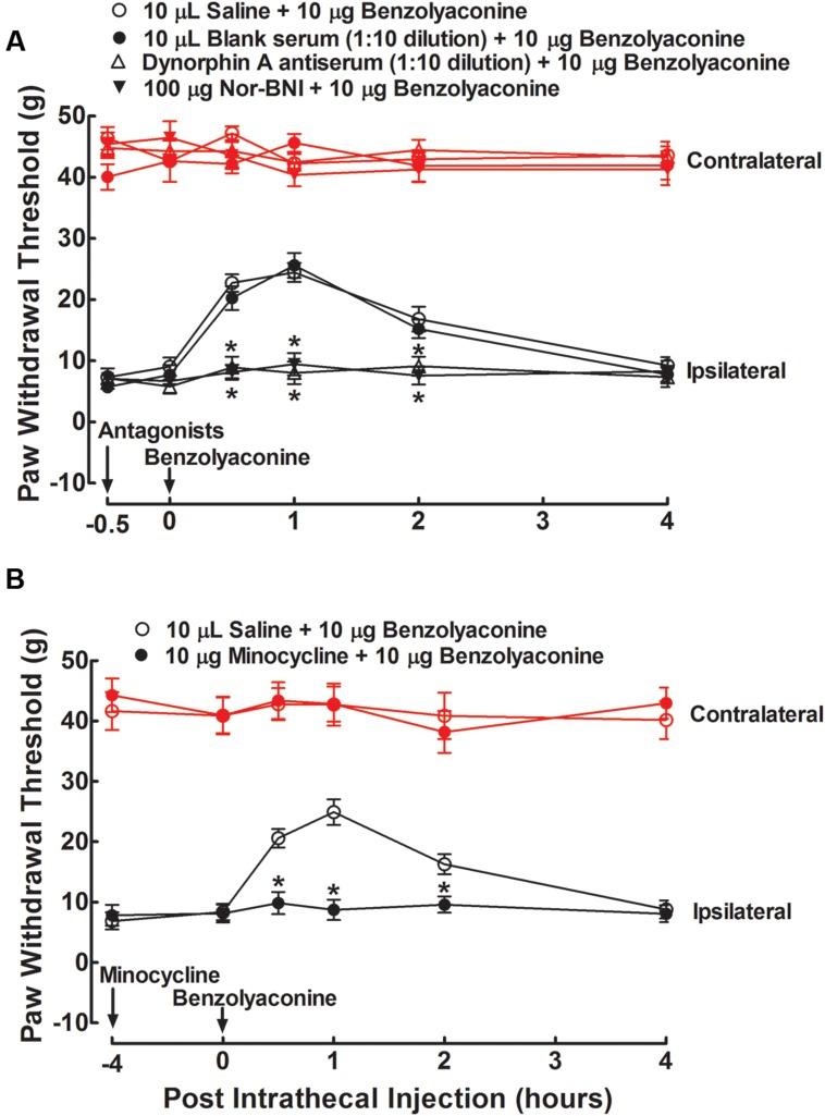 https://cdn.ncbi.nlm.nih.gov/pmc/blobs/56ca/5051147/ba57baf99ca9/fphar-07-00367-g007.jpg