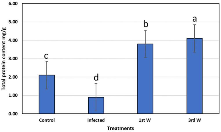 https://cdn.ncbi.nlm.nih.gov/pmc/blobs/56ce/9781784/b0e038202c05/life-12-02054-g008.jpg
