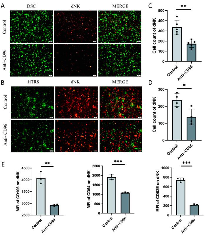 https://cdn.ncbi.nlm.nih.gov/pmc/blobs/56dd/10525720/acc0ce174053/bioengineering-10-01008-g004a.jpg