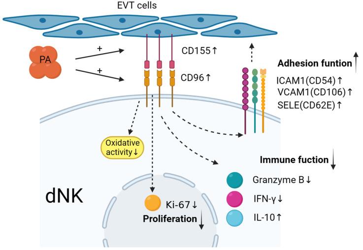 https://cdn.ncbi.nlm.nih.gov/pmc/blobs/56dd/10525720/dddb632a179b/bioengineering-10-01008-g006.jpg