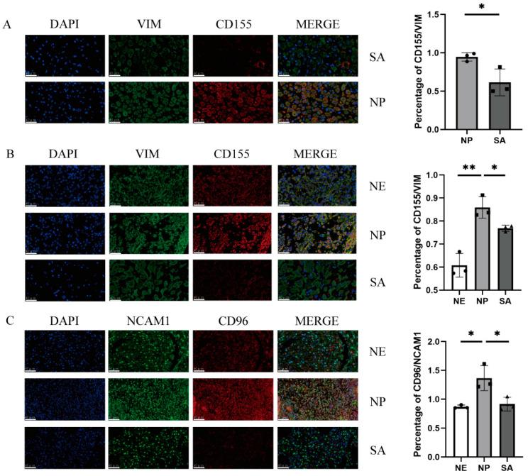 https://cdn.ncbi.nlm.nih.gov/pmc/blobs/56dd/10525720/f12662908014/bioengineering-10-01008-g001.jpg