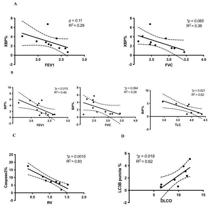 https://cdn.ncbi.nlm.nih.gov/pmc/blobs/570e/8307368/88a03d79a4a8/cells-10-01642-g002.jpg