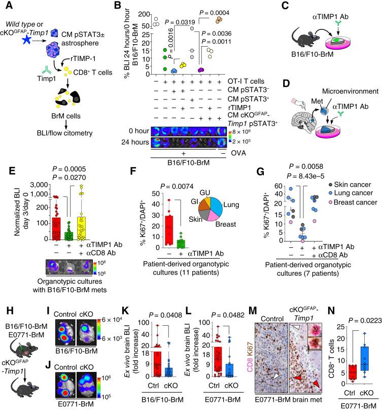 https://cdn.ncbi.nlm.nih.gov/pmc/blobs/5728/11726018/0ab7a127764b/cd-24-0134fig4.jpg