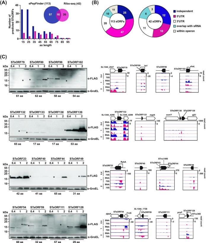 https://cdn.ncbi.nlm.nih.gov/pmc/blobs/575f/10117436/8646e7277c4d/uqaa002fig2.jpg