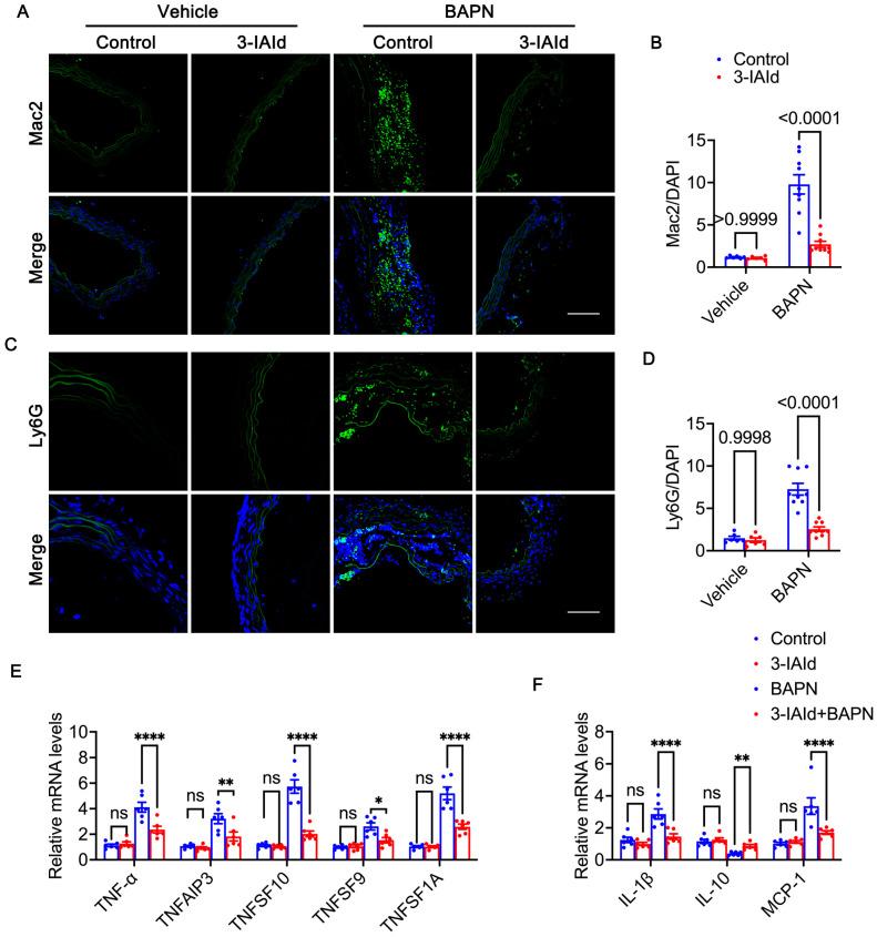 https://cdn.ncbi.nlm.nih.gov/pmc/blobs/5768/10574575/a83753fda6a3/nutrients-15-04150-g005.jpg