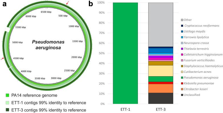 https://cdn.ncbi.nlm.nih.gov/pmc/blobs/5778/7775105/3a919656dfe0/elife-63430-fig2.jpg