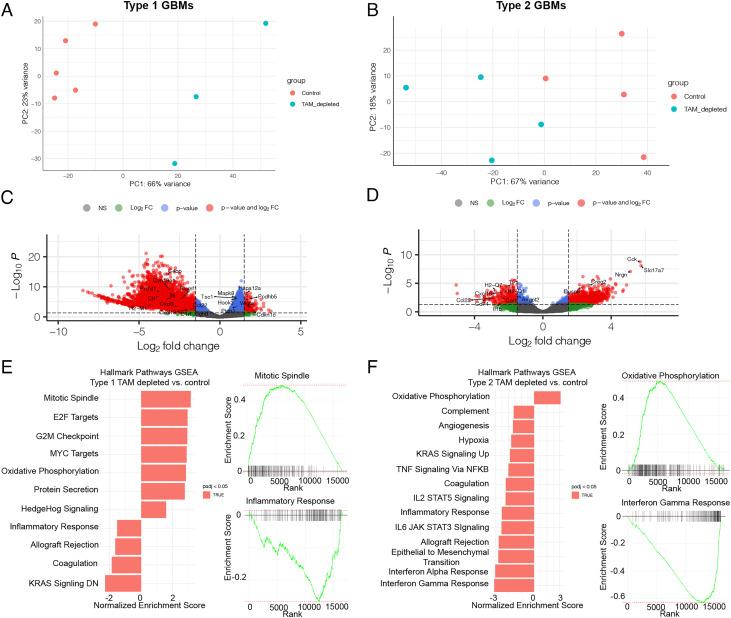 https://cdn.ncbi.nlm.nih.gov/pmc/blobs/578e/10120014/21978f48d1c5/pnas.2222084120fig04.jpg