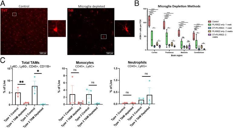 https://cdn.ncbi.nlm.nih.gov/pmc/blobs/578e/10120014/46da82e9bde6/pnas.2222084120fig02.jpg