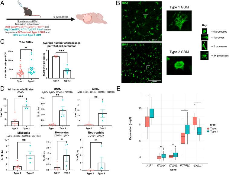 https://cdn.ncbi.nlm.nih.gov/pmc/blobs/578e/10120014/5f68f9da4674/pnas.2222084120fig01.jpg